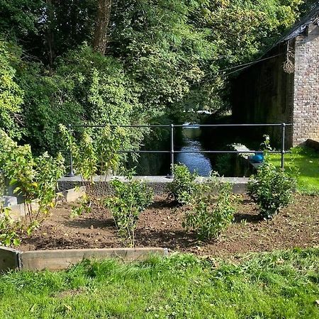 Gite Des Usines De Moulins 昂内 外观 照片